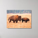Buscar bisontes lienzos Marrón