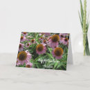 Buscar cono tarjetas Para ella
