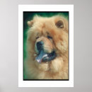 Buscar chow chow arte Rojo