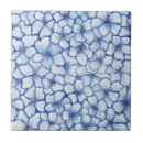 Buscar mariposa azul azulejos Naturaleza