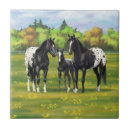 Buscar caballos negros azulejos Animales de granja