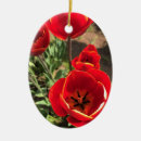 Buscar tulipanes rojos adornos Primavera