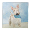 Buscar scottish azulejos Scottie