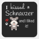 Buscar perro schnauzer pegatinas Perros lindos