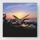 Buscar driftwood relojes de pared Playa