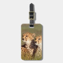 Buscar jubatus accesorios Imagen en color