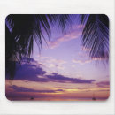 Buscar negril electronica Jamaica