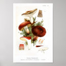 Buscar 1895 posters Vintage