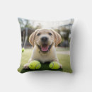 Buscar pelota de tenis cojines Perros