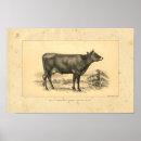 Buscar vacuna posters Cosecha