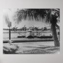 Buscar farola posters China