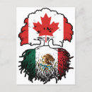 Buscar orgullo mexicano postales México