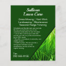 Buscar hierbas flyers Cuidado de césped