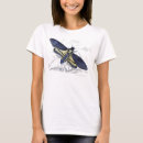 Buscar polilla ropa Mariposa