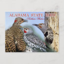 Buscar parpadeo postales Alabama