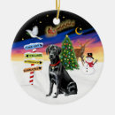Buscar de navidad collares Recuperador de labrador