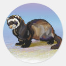 Buscar ferret pegatinas Salvaje