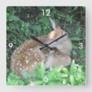 Buscar flautas relojes de pared Animal