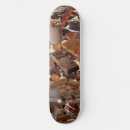Buscar dulce tablas de skate Postre