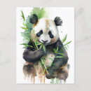 Buscar cosida postales General y unisex