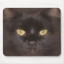Buscar ojos gatos de alfombrillas de raton Negro