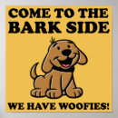 Buscar veterinario posters Perro