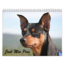 Buscar purebreed Negro