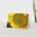 Buscar día soleado tarjetas General y unisex