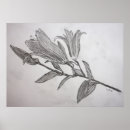 Buscar flores lilas posters Para todos