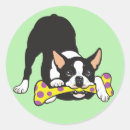 Buscar bull terrier pegatinas Canina