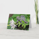 Buscar pérdida de niño tarjetas Para ellos