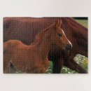 Buscar arabe puzzles Caballo