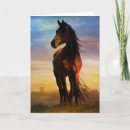 Buscar ecuador tarjetas Caballo