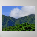 Buscar borrachín posters Tropical