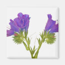 Buscar el mundo natural imanes Vista de inicio