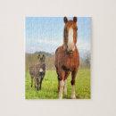 Buscar caballo animal General y unisex