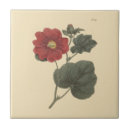 Buscar malva azulejos Floral