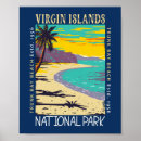 Buscar tronco posters Caribe