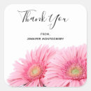 Buscar gerbera pegatinas Bonito