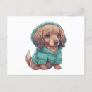 Buscar cachorros postales Dachshund