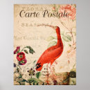 Buscar vintage bird arte Elegante