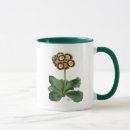 Buscar primula tazas Flores