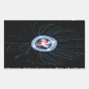 Buscar medusa pegatinas Biología