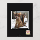 Buscar villancicos postales Puedo tengo cheezburger