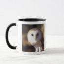 Buscar rapaz tazas Animal