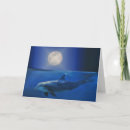 Buscar universal tarjetas Universo
