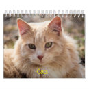 Buscar felino calendarios Fotografía