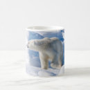 Buscar svalbard tazas Ártico