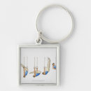 Buscar agilidad accesorios Flexibilidad