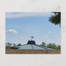 Buscar lexington kentucky postales Caballo